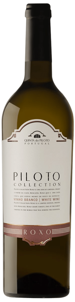 Piloto Collection Roxo (2016)_Quinta do Piloto Vinhos