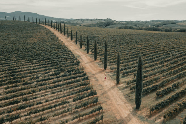Weingut in der Toscana ~ Italien