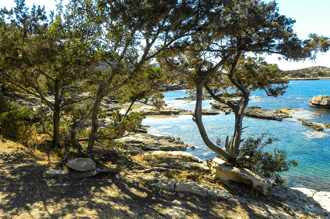Blick auf eine Bucht auf Zypern