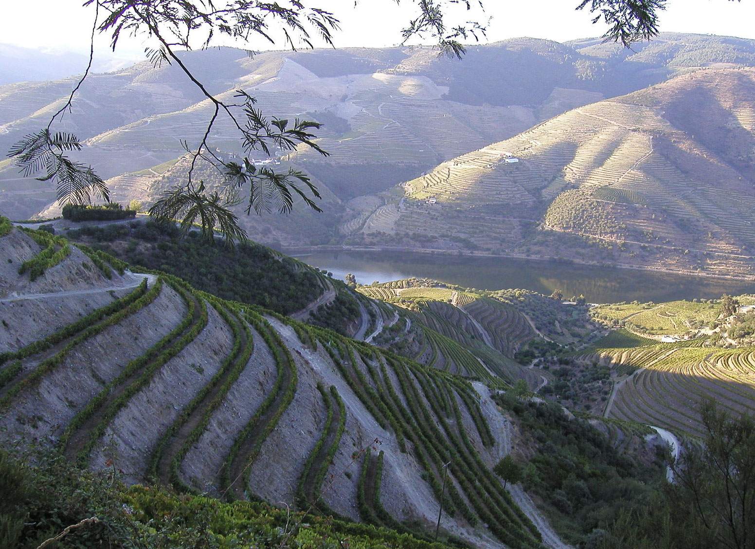 Das Tal des Douro, Weinberge für Portwein-Traubenanbau