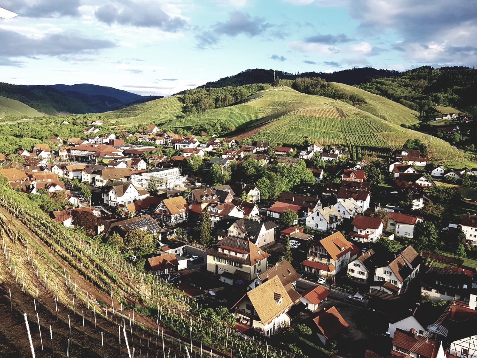 Blick auf die Stadt Durbach von den Weinbergen aus