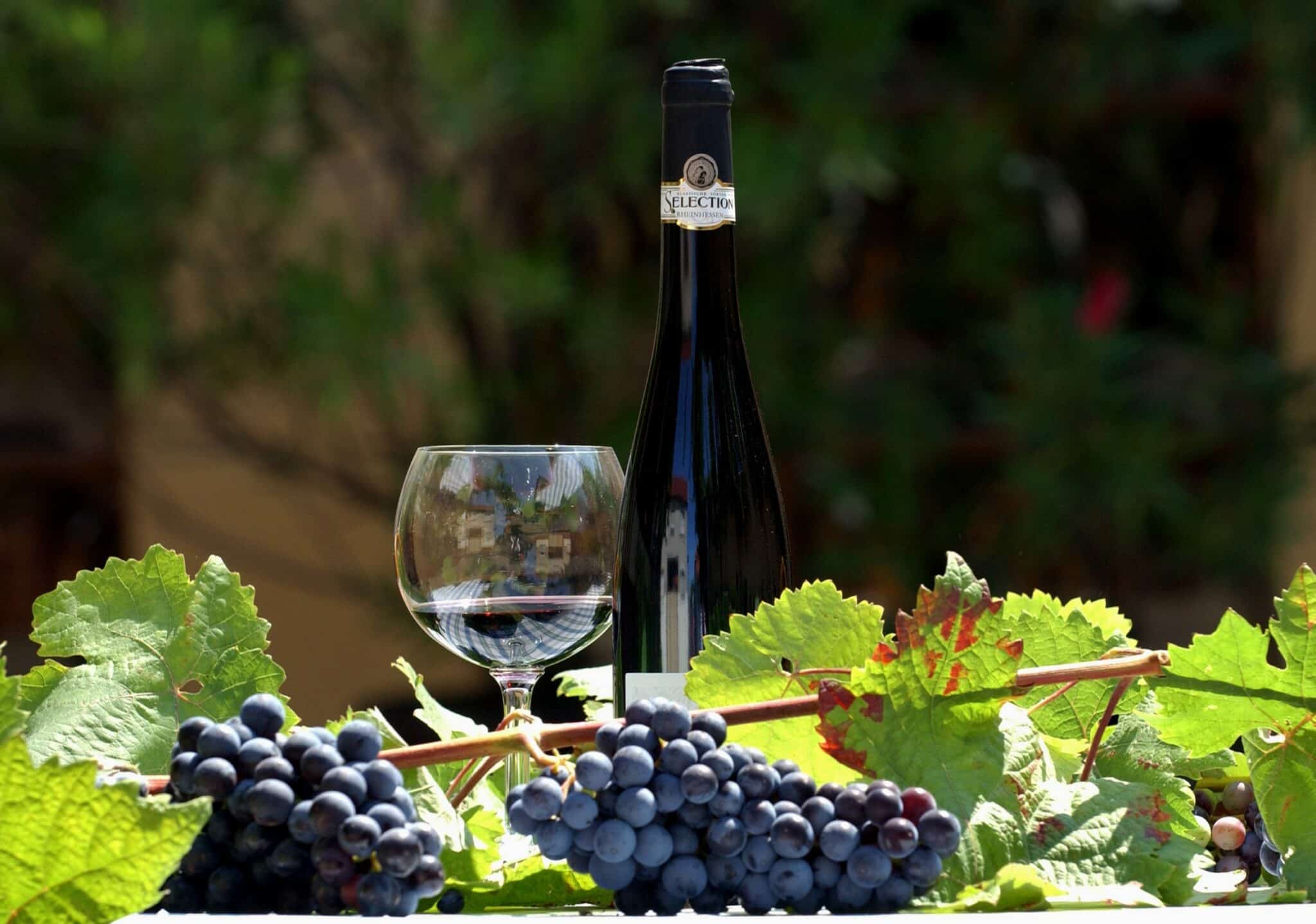 Weinflasche und Weintrauben