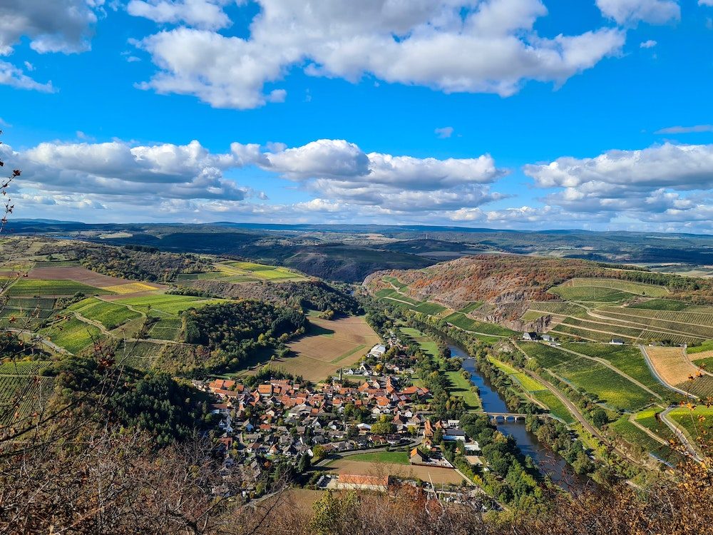 Blick auf ein Weinanbaugebiet in Rheinland-Pfalz