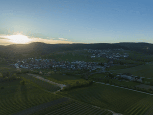 Ausblick auf das Weingut Heinrich Schönlaub in der Pfalz