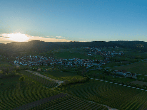 Ausblick auf das Weingut Heinrich Schönlaub in der Pfalz
