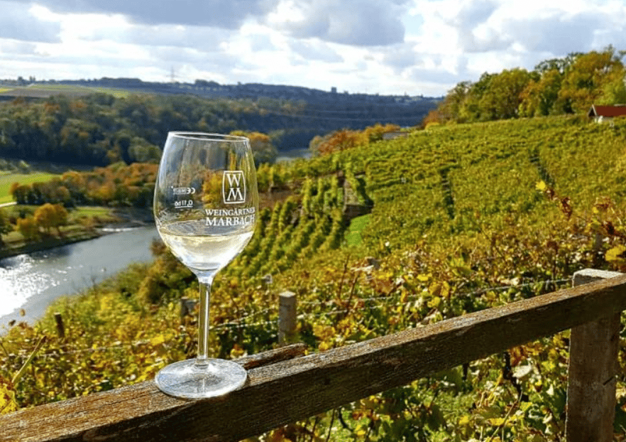 Ausblick und ein Glas der Marbacher Weingärtner