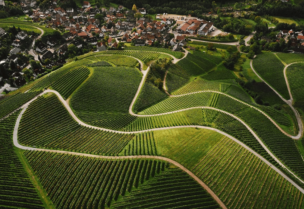 Blick auf das Weingut Alde Gott im Schwarzwald