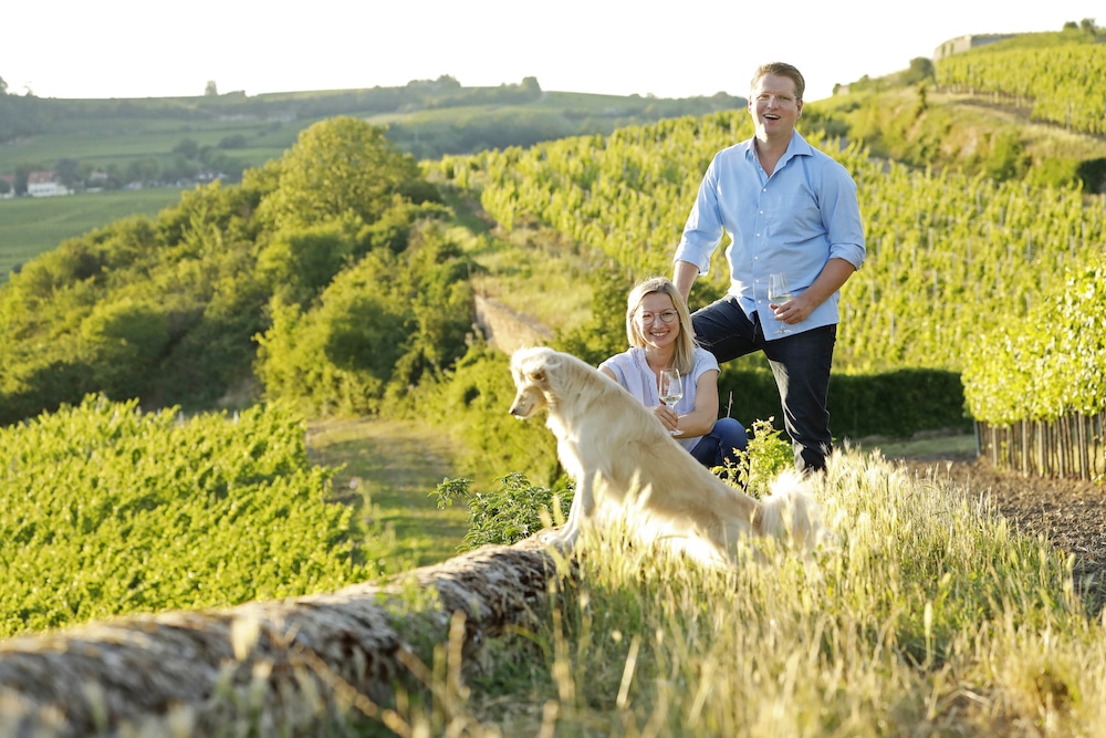 Die Winzer vom Weingut Bärenhof in der Pfalz vor ihren Weinbergen mit dem Hund der Familie