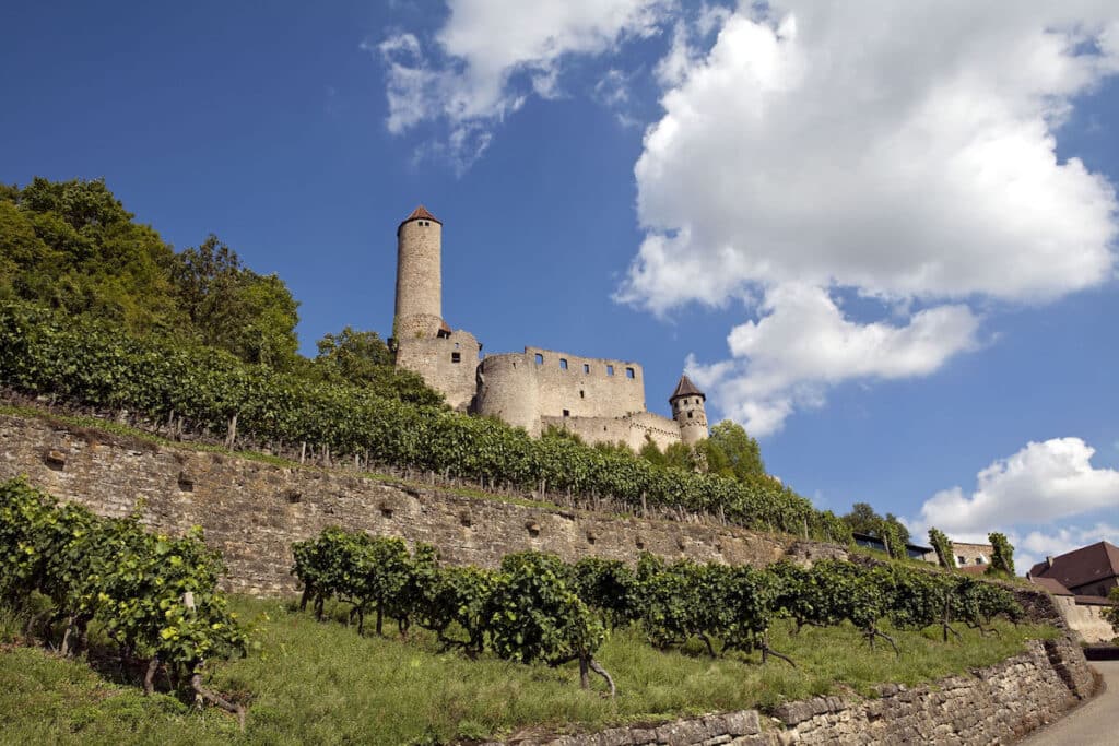 Blick auf die Burg Hornberg mit Weinreben
