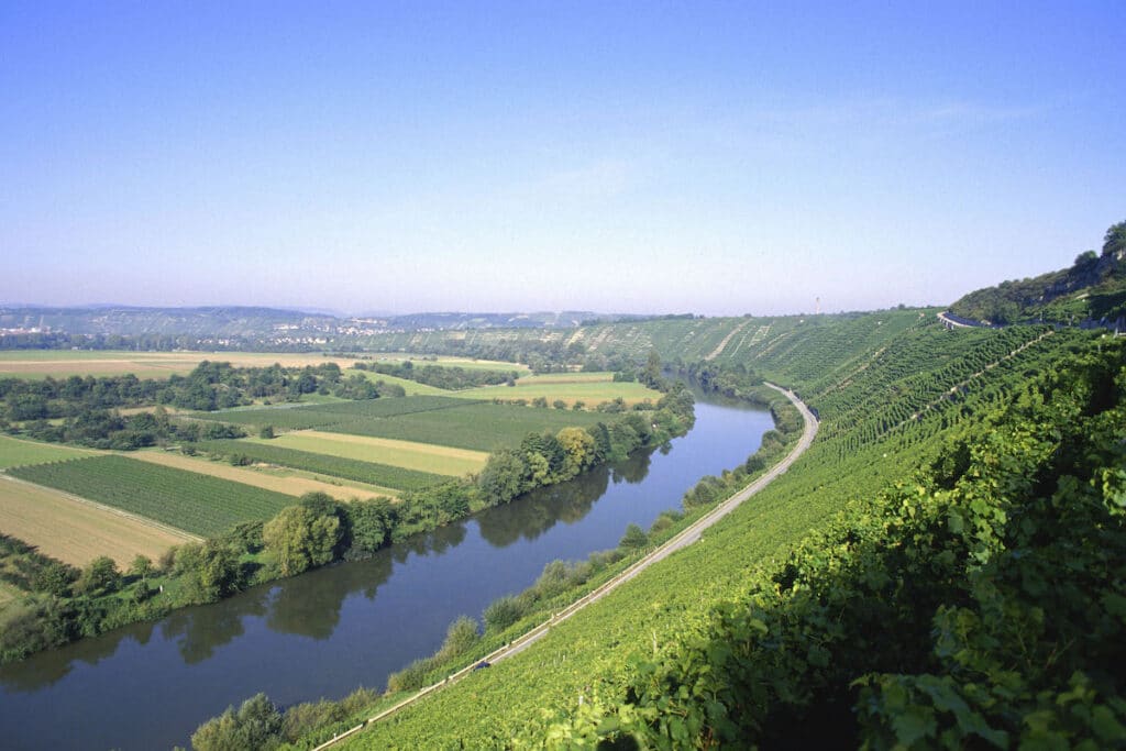 Blick auf die Weinberge am Neckar