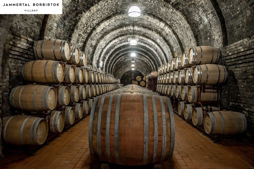 Ein Blick in den Weinkeller des Weingutes Jammertal Borbirtok in Ungarn