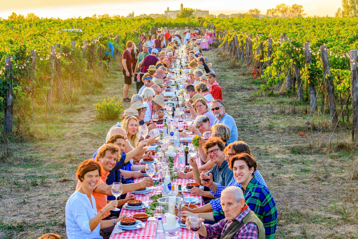 Ein großer Tisch zwischen den Reben des Bio-Weingut an dem viele Personen sitzen und gemeinsam Essen und Bio-Wein trinken