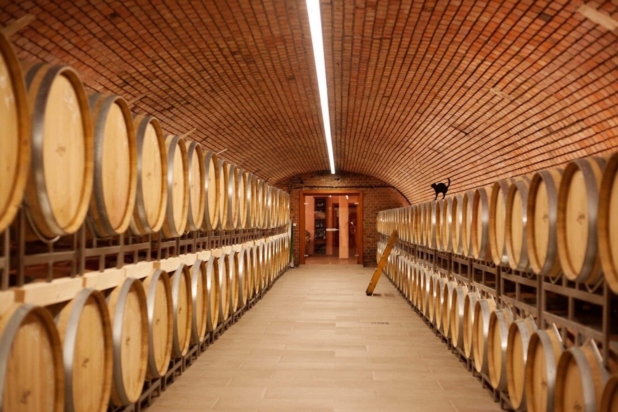 Internationales Weingut des Jahres: der Barrique-Keller des Seegutes Lentsch in Österreich