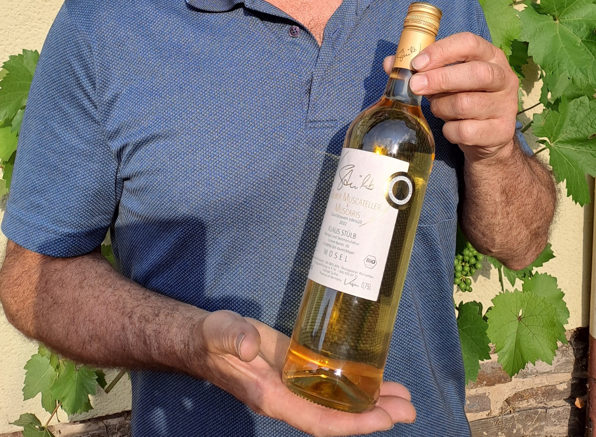 Winzer Klaus Stülb mit einer Flasche seines Gelben Muscateller & Muscaris