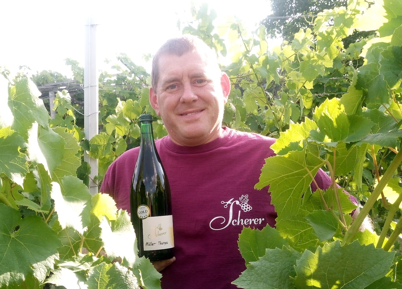 Nikolas Scherer vom Weingut Scherer mit einer Flasche Müller-Thurgau trocken, Wein