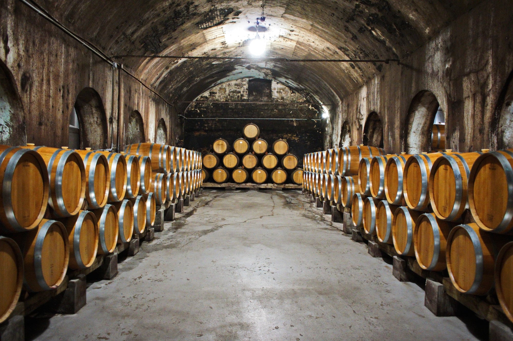 Weine aus dem Holzfass - Weinfässer liegen in einem Weinkeller