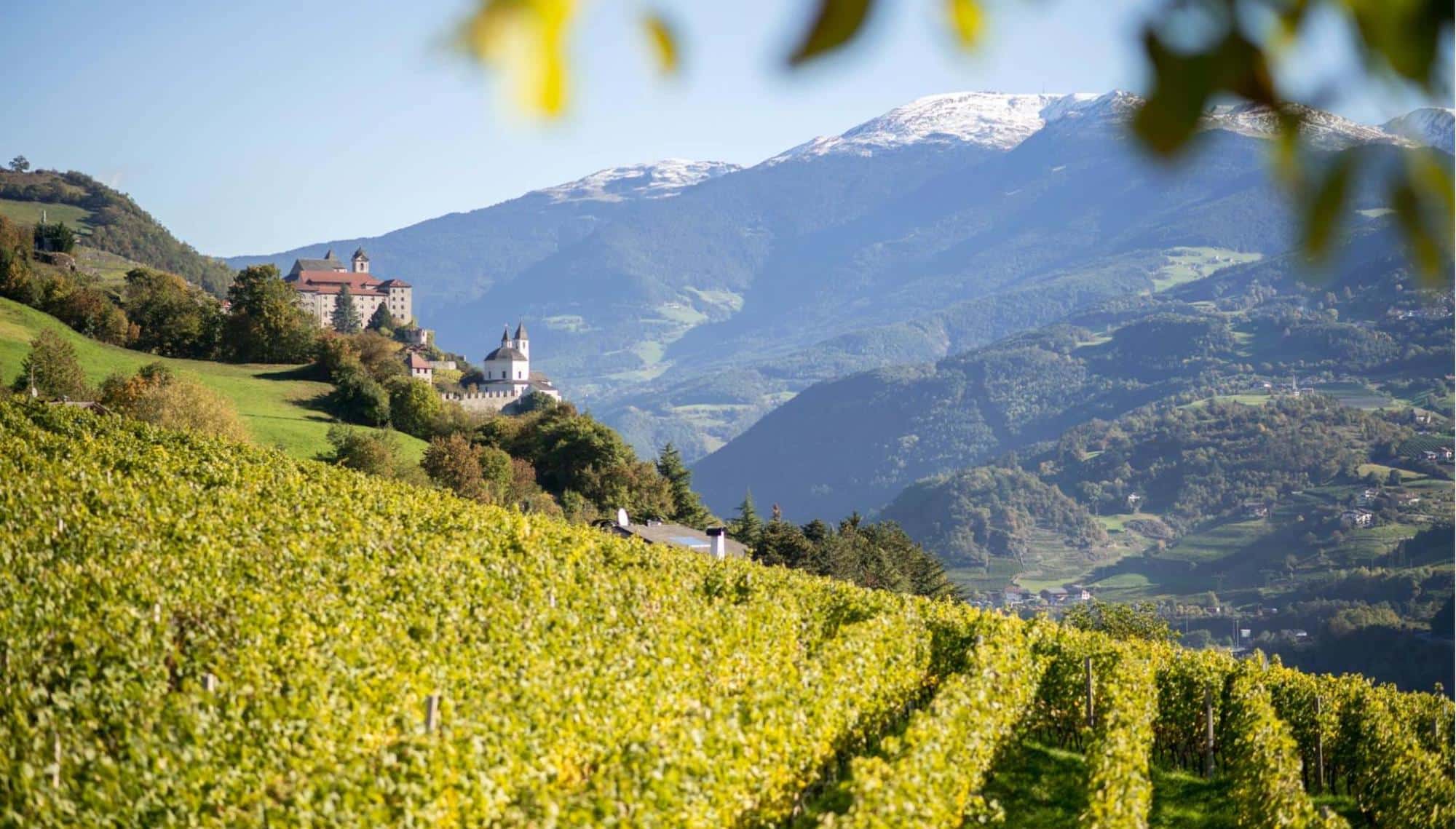 Bild der Aussicht über die Weinberge im Eisacktal, der Weinbauregion in dem sich die Weinkellerei Eisacktal befindet, die unseren Müller-Thurgau-Preis gewonnen hat