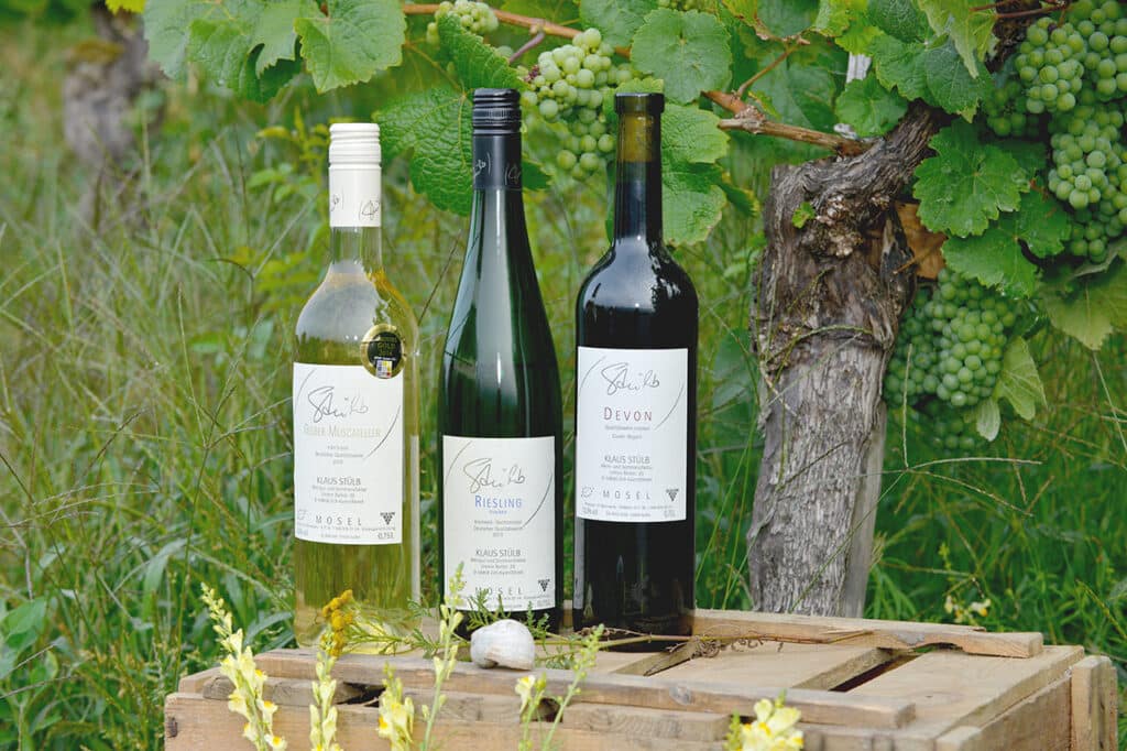 Wein und Sektflaschen vom Stülb - Weingut & Sectmanfaktur