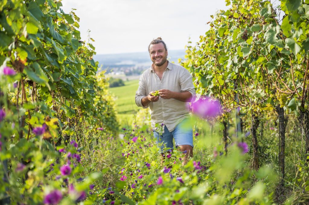 Jungwinzer Nicolas Olinger im Weinberg seines Betriebs Weinbau Olinger