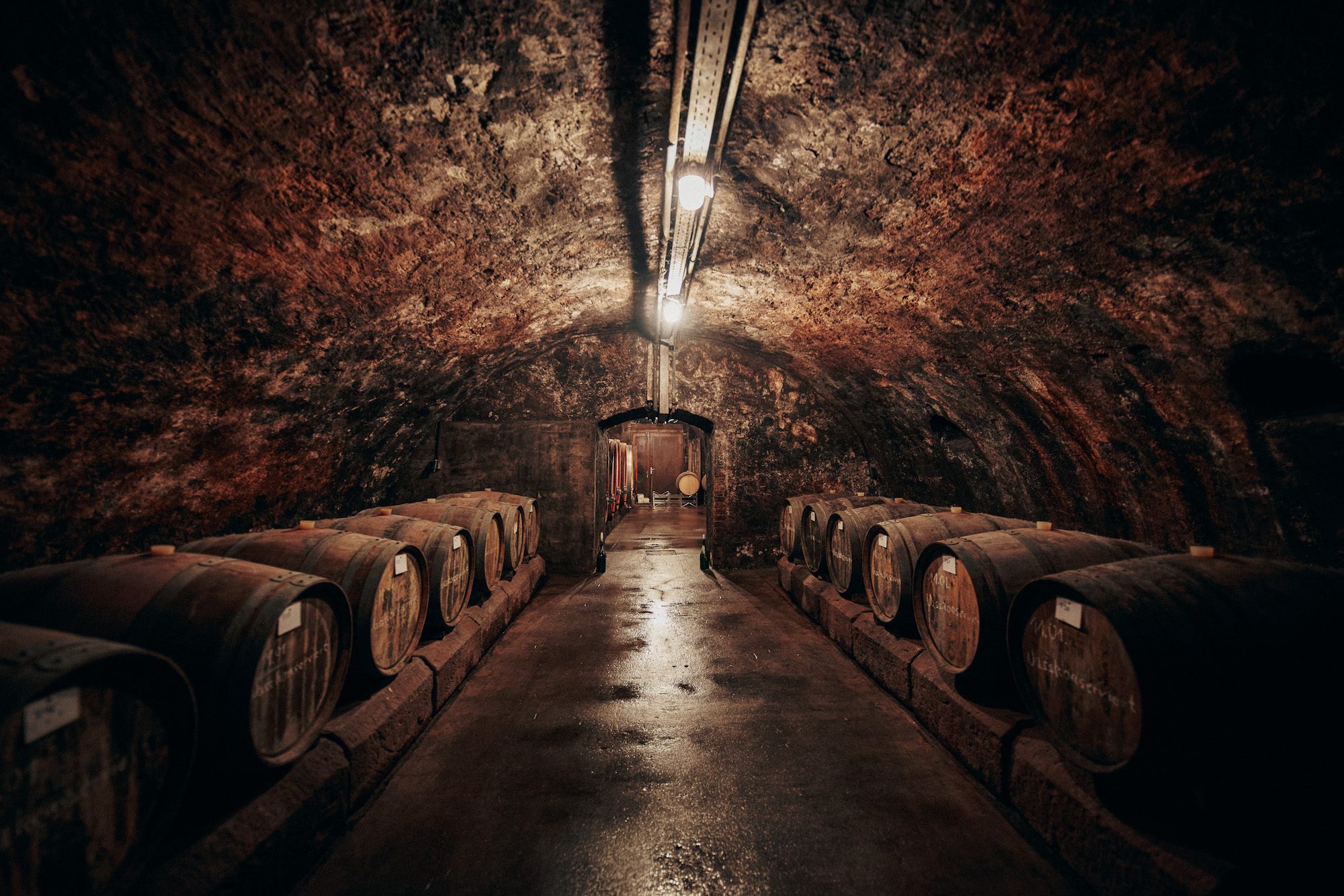 Der Weinkeller des Weingut Graf von Kanitz hier wird auch der 2022er Lorcher Bodental-Steinberg Riesling trocken gelagert