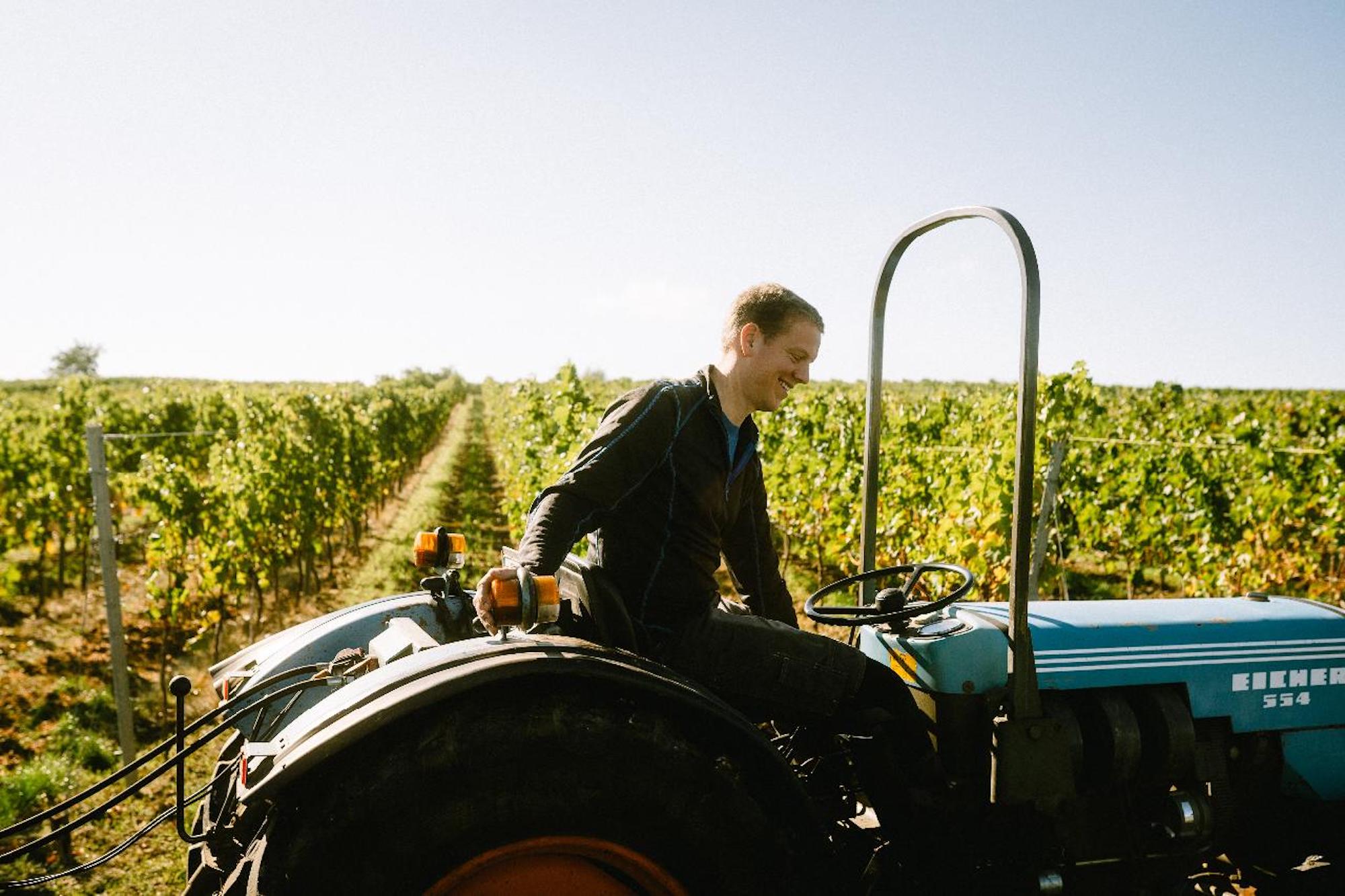 Beste Jungwinzer des Jahres: Jens Griebel in den Weinbergen seines Weingutes in der Pfalz