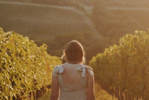 Weingenuss: Weinprobenspaziergang mit dem Weingut Hower