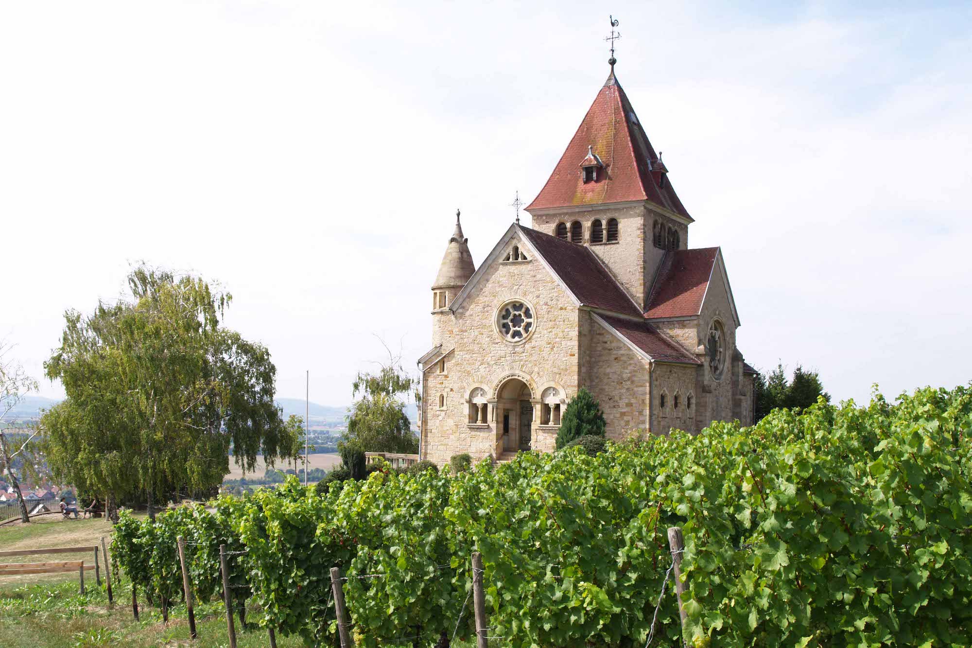 Spätburgunder-Erzeuger des Jahres: Weingut Schnabel in Rheinhessen