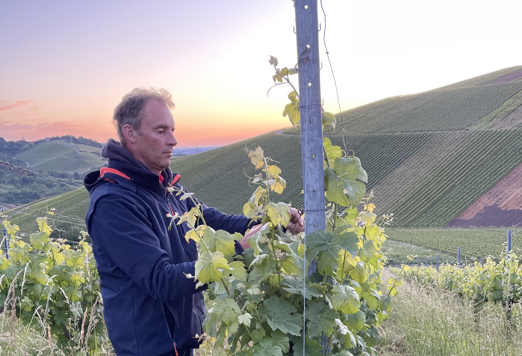 PIWI-Weingut des Jahres: Weingut Im Hagenbüchle, Winzer Achim Stilz